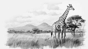 Giraffe, die auf einem Feld läuft, Zeichnung, Giraffen-Bleistiftzeichnung im Vintage-Stil.