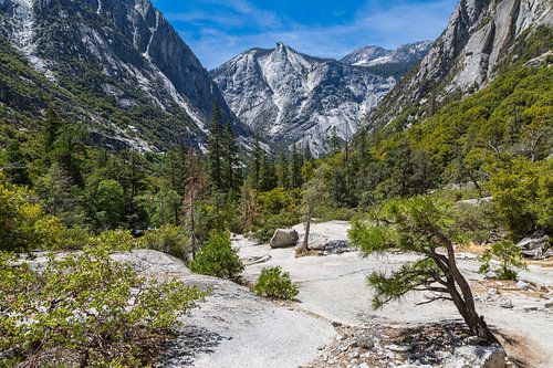 Kings Canyon viewpoint