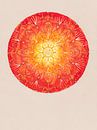 sexual chakra by Atelier Zerah thumbnail