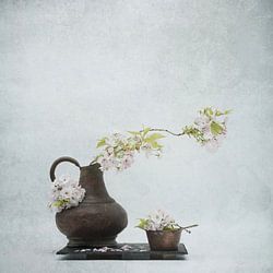 Wabi-sabi