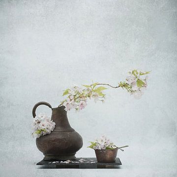 Frühlingsstilleben mit Blütenzweigen . von Saskia Dingemans Awarded Photographer