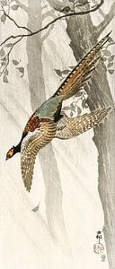 Vliegende fazant, Ohara Koson