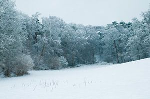 Sneeuwlandschap van Douwe Schut