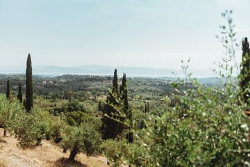 Grüner Blick über die griechische Insel Korfu | Reisefotografie Fine Art Photo Print | Griechenland, von Sanne Dost
