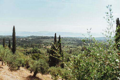 Groen uitzicht over Grieks eiland Corfu | Reisfotografie | Griekenland, Europa