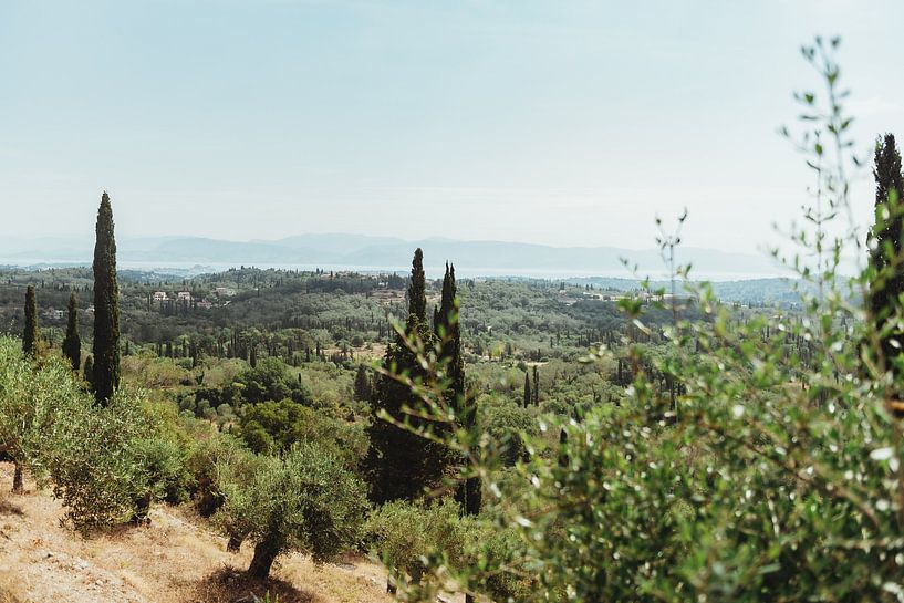 Vue verte sur l'île grecque de Corfou | Photographie de voyage - tirage photo d'art | Grèce, Europe par Sanne Dost