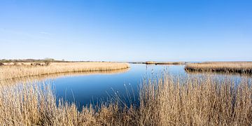 Natuurreservaat aan de Oostzee van Monika Scheurer