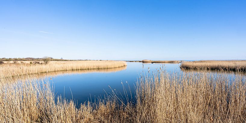 Nature reserve at the Baltic Sea by Monika Scheurer