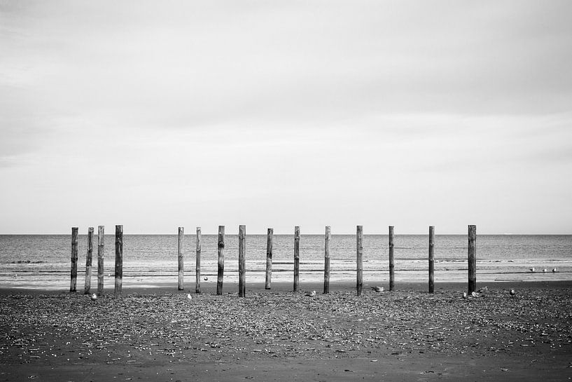 Wood poles in the sand, Schiermonnikoog III van Luis Boullosa