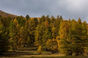 Herfst in de Alpen von Marcel Antons