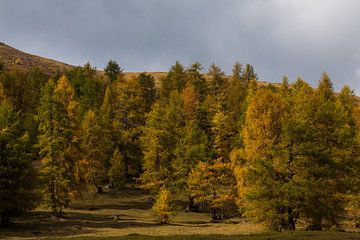 Herfst in de Alpen von Marcel Antons