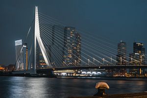 Erasmus Bridge, Rotterdam
