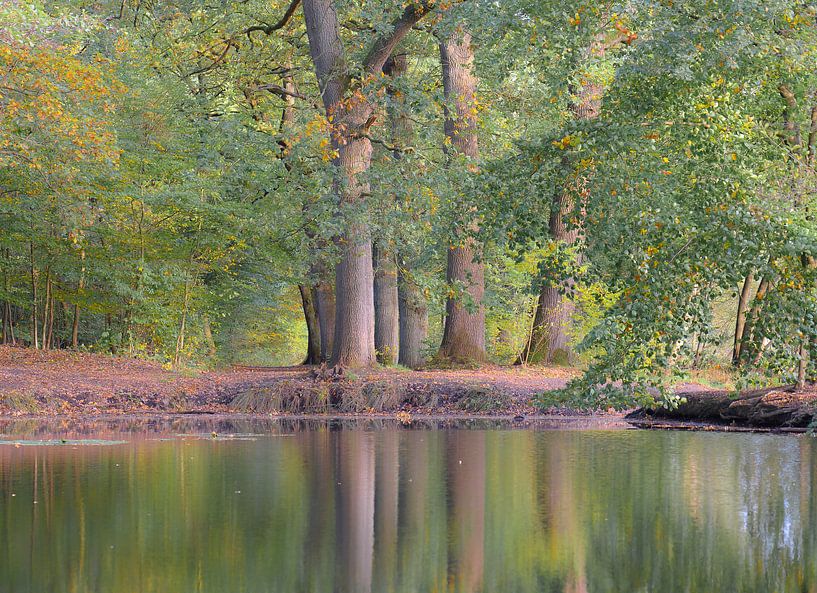 herfst weerspiegeling van Tania Perneel
