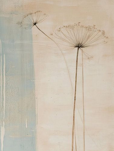 Schermbloemen in pastelkleuren