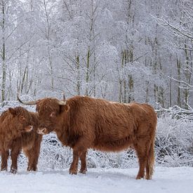Liebe zwischen Mutter und Kind... von Ans Bastiaanssen