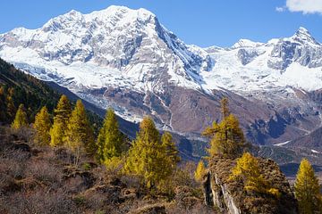 Herfstkleuren in het Himalayagebergte van Jeroen Kleiberg