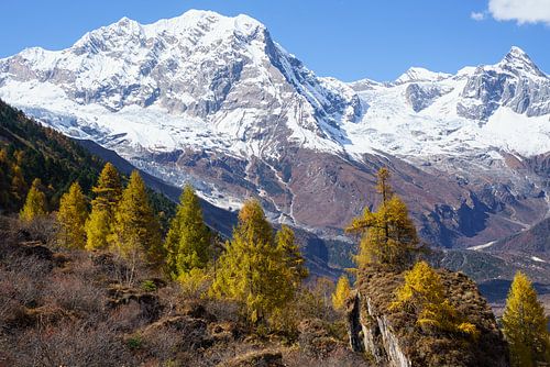 Herfstkleuren in het Himalayagebergte