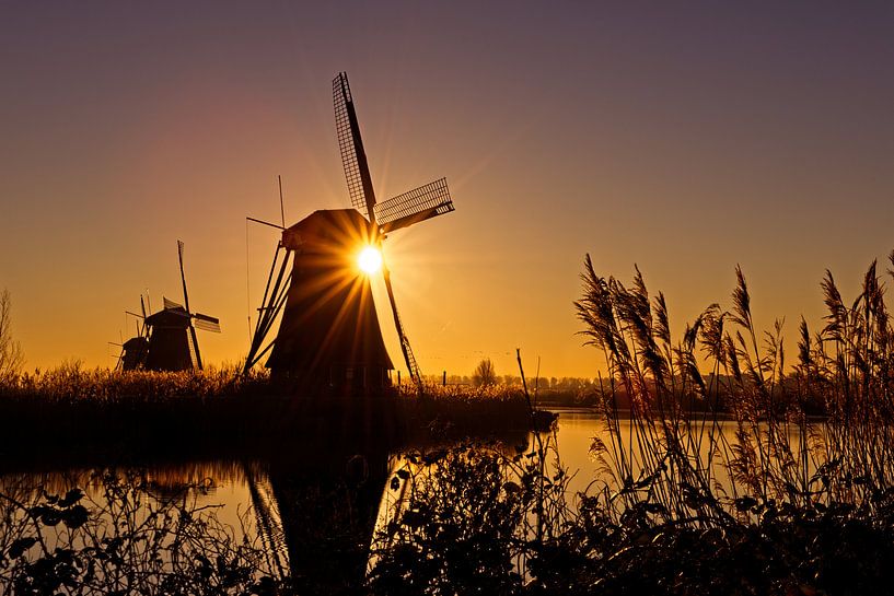 Windmühle in Kinderdijk von Dirk-Jan Steehouwer