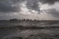 Hoog water bij Echteld van Moetwil en van Dijk - Fotografie thumbnail