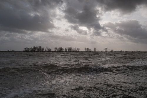 Hoog water bij Echteld