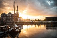 Pilotage au Willemdok à Anvers