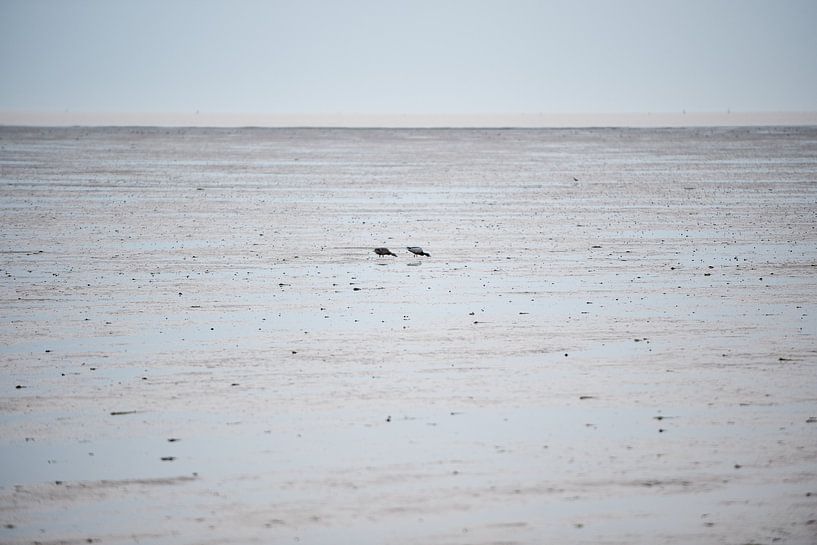 Paar auf dem Wattenmeer von Remke Spijkers