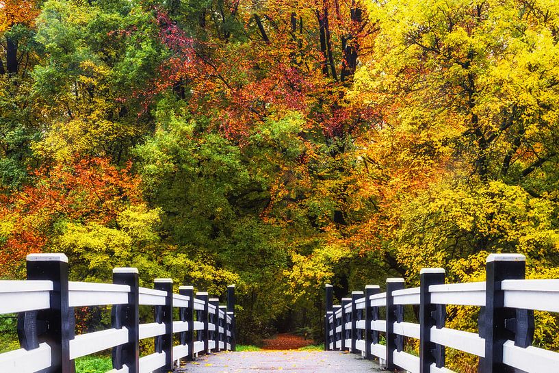 Boslandschap "Brug naar de Herfst" van Coen Weesjes