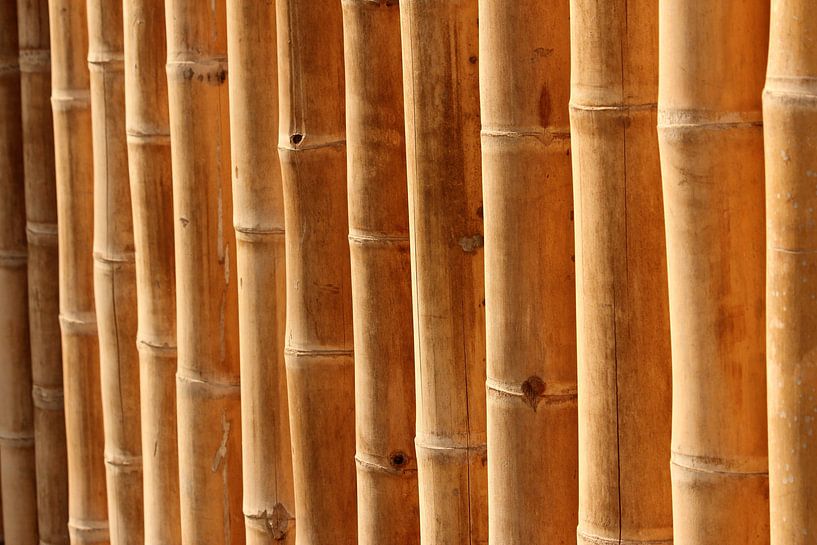 Naturstrukturen von Heike Hultsch