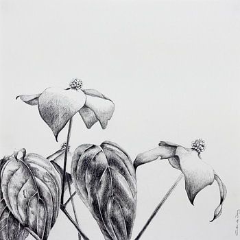 Kompostierung mit Hartriegel