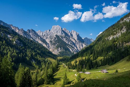 Summer on the Bindalm