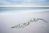 net on the beach