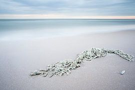 net op strand van Arjan van Duijvenboden
