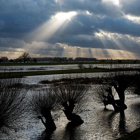 Lek, water & licht 5 van Gerard Streng
