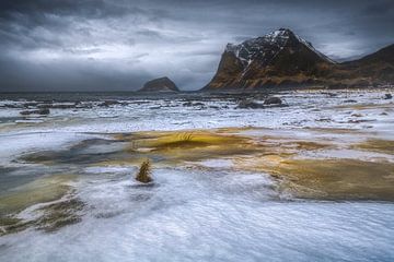 Fjord Lofoten van Peter Poppe