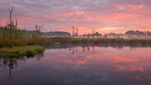 A colourful sunrise at Appèlbergen on the border between the provinces of Groningen and Drenthe