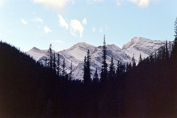 Jasper National Park van Jochem van Schaick