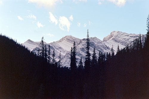 Jasper National Park