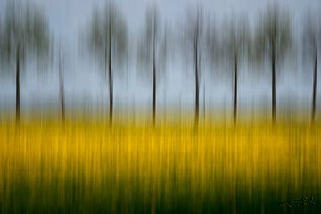 Bomen in hollands landschap van gele bloemenweide van Ellen Snoek