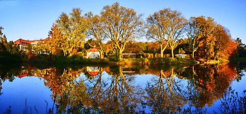 autumn panorama