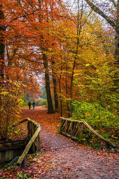 Pont d'automne par peterheinspictures
