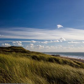 Duinen Dishoek van Stefan Füsers