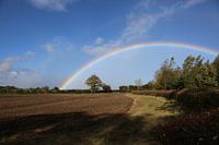 Rainbow in Blue