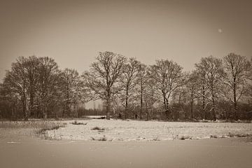 winter, bomenrij in sepia van Arnoud Kunst