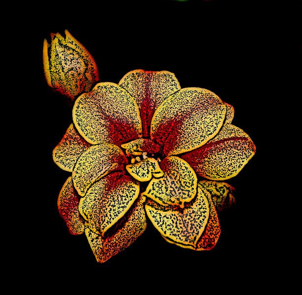 Gelbe rote Blume von Jose Lok