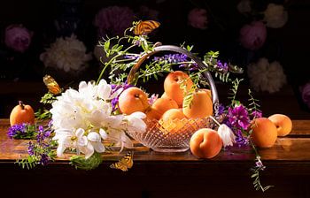 Stilleben 'Mit Aprikosen und Vogelwicke