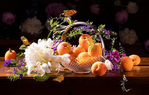 Stilleben 'Mit Aprikosen und Vogelwicke