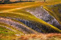 Golden Hills