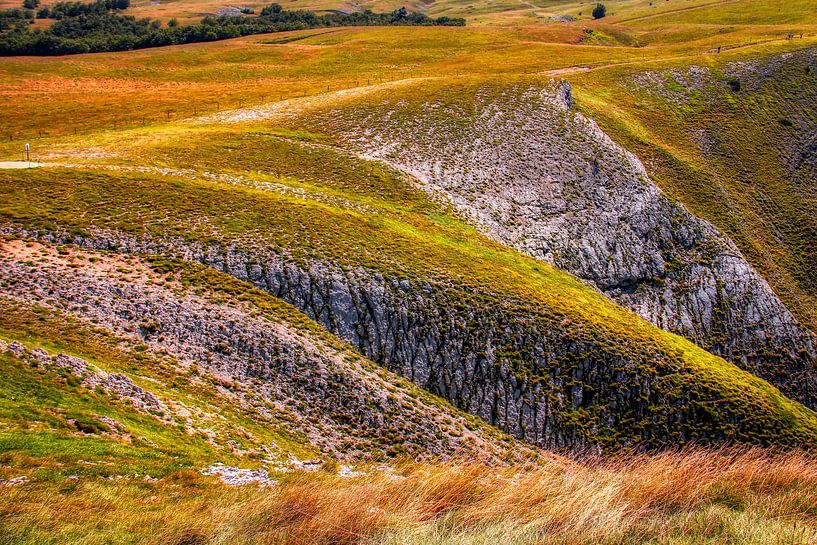 Golden Hills von Patrick Teeling