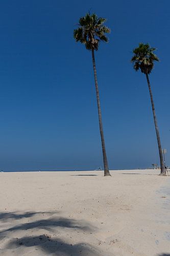 Los Angeles