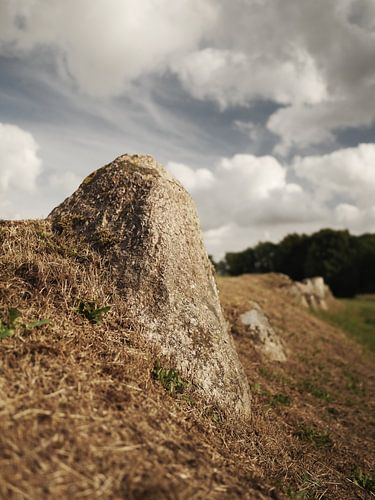 Langdolmen Lindeskov, Ørbæk, Denmark